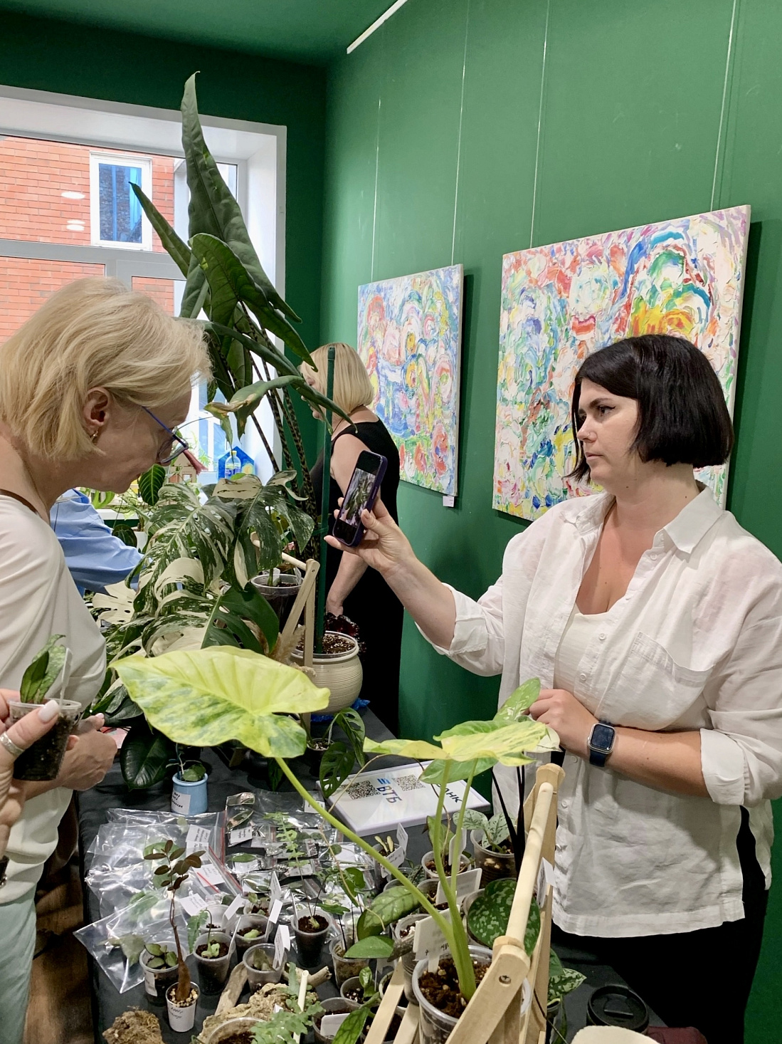 Стартовал конкурс комнатных растений 2026: правила участия и требования к работам